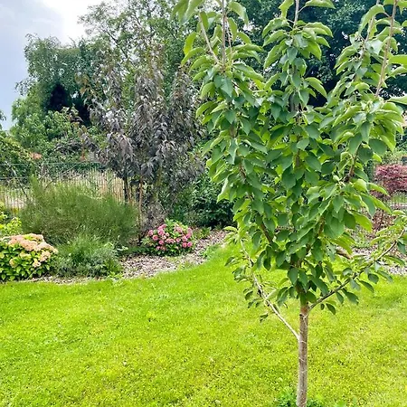 Kamrath Mit Wunderschoenem Ausblick *