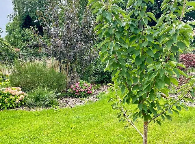 Kamrath Mit Wunderschoenem Ausblick *